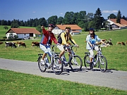 E-Bike Radtour mit Swiss Flyer  Foto  Flyer