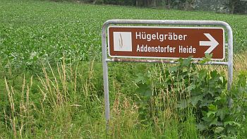 Zur Addenstorfer Heide - Foto: PHB