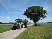 Feldweg Secklendorf - Haael